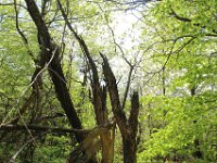 Wehikul 25 lat SKT (58)